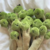 香菜公仔鑰匙扣